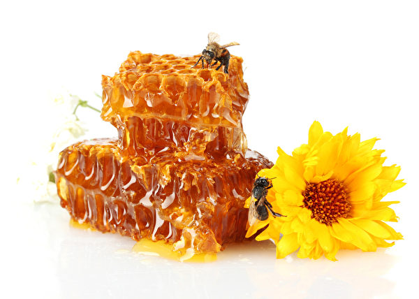 蜂巢蜜。(Fotolia) 蜂巢蜜。(Fotolia)