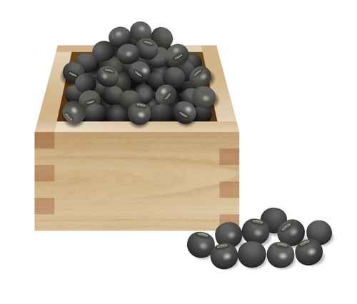 黑豆(Black Soybean)。(图:Fotolia) 黑豆(Black Soybean)。(图:Fotolia)