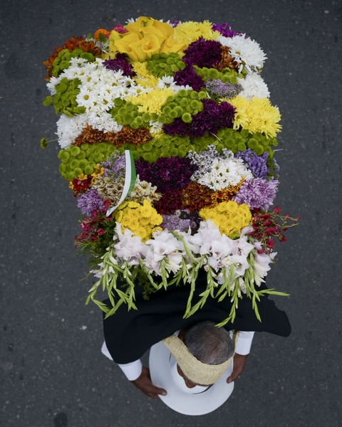 組圖 哥倫比亞鮮花節遊行熱鬧繽紛 大紀元
