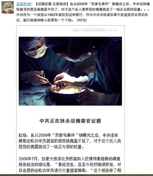 这则没被删除的新浪微博敏感信息,转载自新唐人的微视频“中共正在抹杀活摘器官证据”。(网络截图) 这则没被删除的新浪微博敏感信息,转载自新唐人的微视频“中共正在抹杀活摘器官证据”。(网络截图)