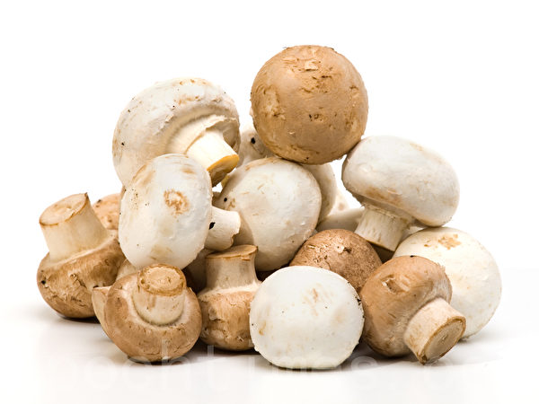 蘑菇。(Fotolia) 蘑菇。(Fotolia)