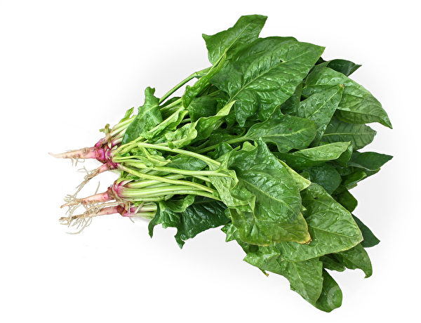 菠菜。(Fotolia) 菠菜。(Fotolia)