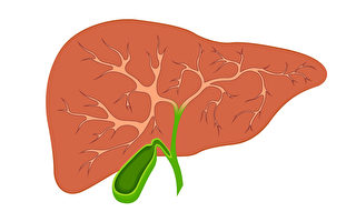 肝臟呼救五大徵兆 告你如何養肝護肝