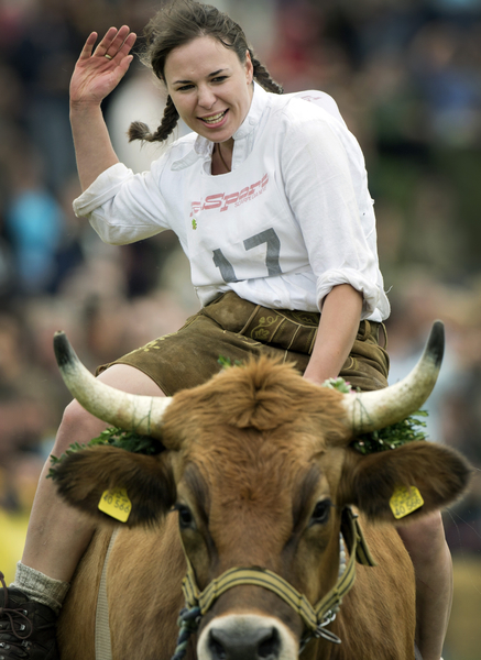 德国巴伐利亚的赛牛节是当地传统的一部分(VICTORIA BONN-MEUSER/AFP/GettyImages) 德国巴伐利亚的赛牛节是当地传统的一部分(VICTORIA BONN-MEUSER/AFP/GettyImages)
