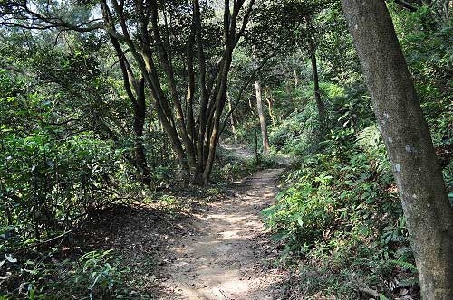 福人登山步道,優雅的泥土路徑。(圖片提供:Tony) 福人登山步道,優雅的泥土路徑。(圖片提供:Tony)