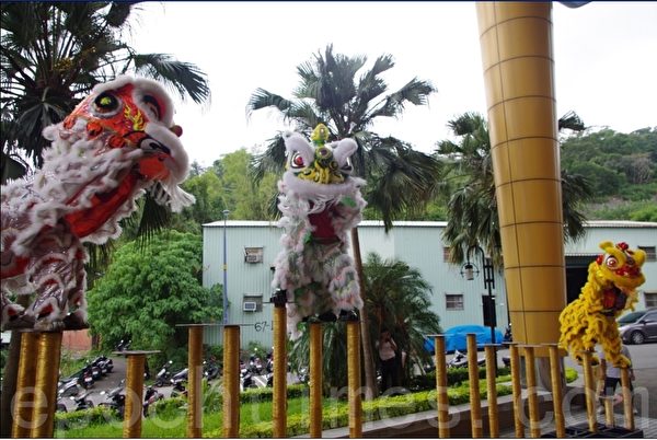 獅子踩高樁活靈活現.(宋順澈/大紀元) 獅子踩高樁活靈活現.(宋順澈/大紀元)