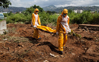 WHO：年底前埃博拉病患或每周爆增萬人