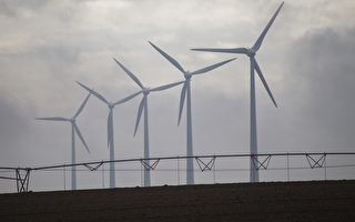 澳拟降低再生能源目标 风电厂立即裁百人