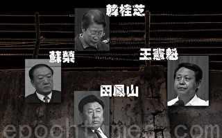 黑龙江省委书记王宪魁或已危险 是苏荣心腹