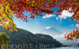 組圖：又到日本紅葉繽紛的季節