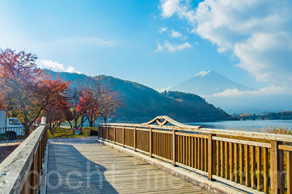红叶与富士山。位于富士山山脚的著名富士五湖之一的河口湖正值红叶灿烂的季节。摄于2014年11月8日。(卢勇/大纪元) 红叶与富士山。位于富士山山脚的著名富士五湖之一的河口湖正值红叶灿烂的季节。摄于2014年11月8日。(卢勇/大纪元)