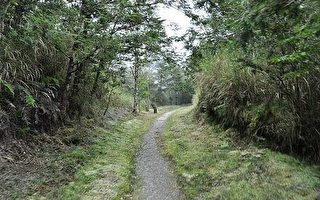 宜兰大同．太平山－平元自然步道
