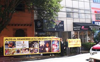 墨西哥法轮功学员谴责中共人权恶棍张德江