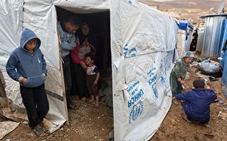 资金匮乏 叙利亚难民粮食援助被迫中止