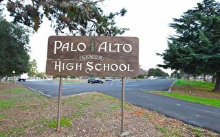 华人为何钟爱Palo Alto？