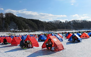 感受韩国别有风味的冬季庆典——钓松鱼