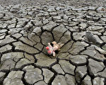 全球土壤逾三成劣化 人類生存臨危