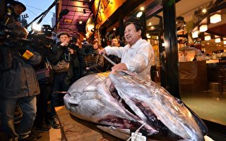 组图：东京鱼市开张 金枪鱼售价近4万美元
