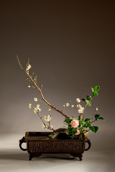 年花〈只留清气满乾坤〉
花材:梅花、山茶
花器:铜盘
花型:心象写景花(中华花艺文教基金会提供)
年花〈只留清气满乾坤〉
花材:梅花、山茶
花器:铜盘
花型:心象写景花(中华花艺文教基金会提供)