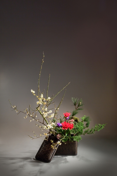 年花〈春客点翠照新妆〉
花材:梅花、大理花、石竹、柏、洋桔梗、蜡花、松、枯木
花器:篮
花型:写景花(中华花艺文教基金会提供)
年花〈春客点翠照新妆〉
花材:梅花、大理花、石竹、柏、洋桔梗、蜡花、松、枯木
花器:篮
花型:写景花(中华花艺文教基金会提供)