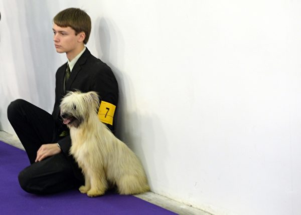 小主人与比利牛斯山牧羊犬。(TIMOTHY A. CLARY/AFP/Getty Images) 小主人与比利牛斯山牧羊犬。(TIMOTHY A. CLARY/AFP/Getty Images)