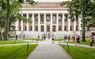 全球声誉最好大学排名  哈佛蝉联冠军