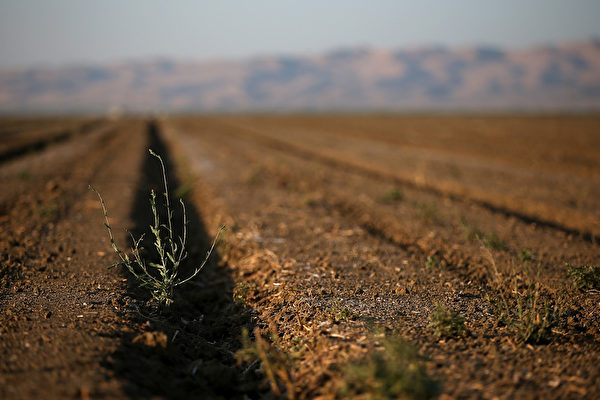 加州97%地区处于严重干旱 给农业敲响警钟