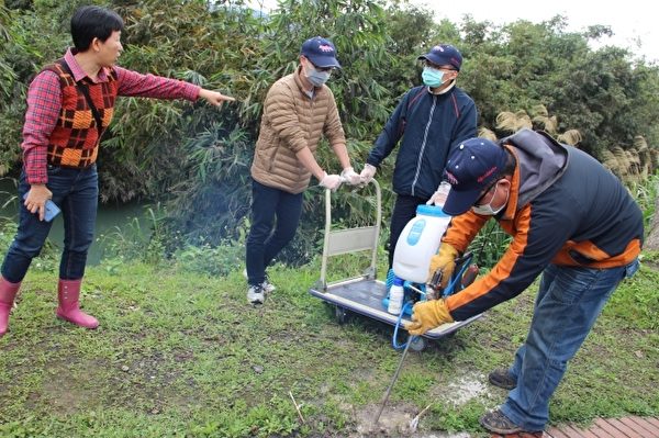 左一 陈滢如 药剂灌注防治红火蚁。(谢月琴/大纪元) 左一 陈滢如 药剂灌注防治红火蚁。(谢月琴/大纪元)