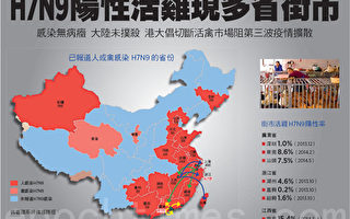 港大研究：江浙是禽流感源頭 H7N9陽性活雞現多省