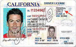 加州11万非法移民获得特别驾照