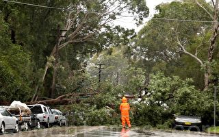 狂风暴雨袭击澳纽省 3人丧生21万户停电