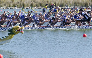 西澳珀斯举办2015年澳洲龙舟锦标赛