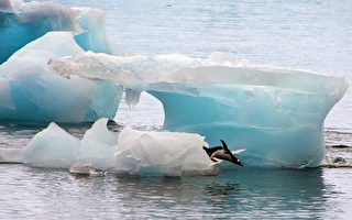 年融化56亿吨冰 南极半岛南方冰层快速消融