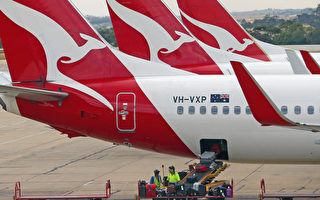 澳航擴招100名國際航線空中乘務員