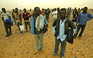 移民组织吁欧盟关注横尸沙漠的非洲难民