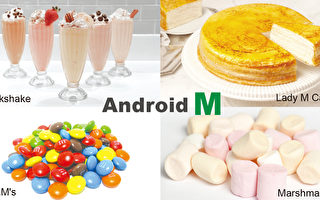 Android M三大亮点 Google力战Apple