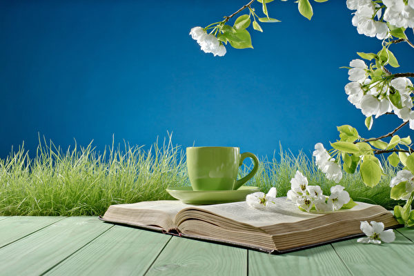 心静自然凉。夏至养心要神清气和,快乐欢畅,心胸宽阔。(Fotolia) 心静自然凉。夏至养心要神清气和,快乐欢畅,心胸宽阔。(Fotolia)