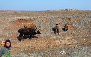 UN报告：干旱或导致朝鲜今年发生大饥荒
