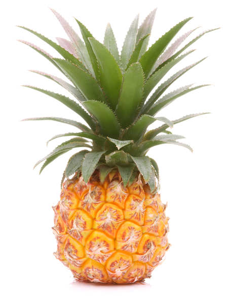 菠萝热带水果或凤梨。(fotolia) 菠萝热带水果或凤梨。(fotolia)