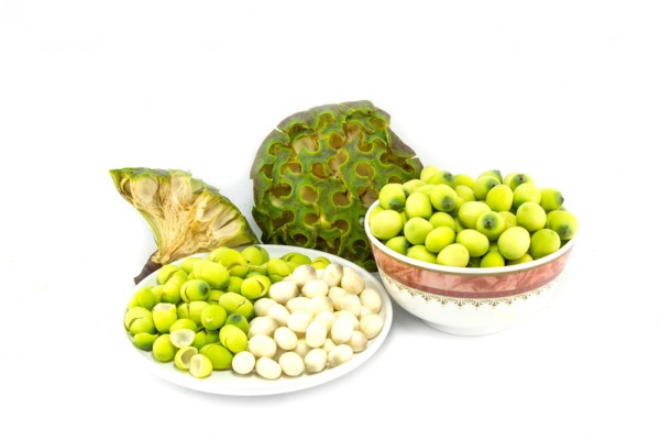 蓮子受硬殼的保護,被認為是世界上最長壽的種子。(Fotolia) 蓮子受硬殼的保護,被認為是世界上最長壽的種子。(Fotolia)
