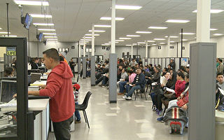 加州新颁驾照多一半给了无证移民