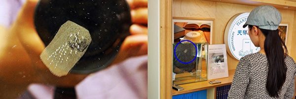 5个月前天梯书店施工装修之际绽放的优昙婆罗花被装在玻璃箱内,摆放在书店1楼柜台旁的书架上,便于光顾书店的任何人都能看到。(明慧网) 5个月前天梯书店施工装修之际绽放的优昙婆罗花被装在玻璃箱内,摆放在书店1楼柜台旁的书架上,便于光顾书店的任何人都能看到。(明慧网)