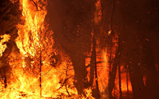 加州多處野火 但燃燒面積控制在較小範圍