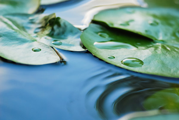 水滴中的微观世界也在宇宙之中,其中有多少粒子呢?(Fotolia) 水滴中的微观世界也在宇宙之中,其中有多少粒子呢?(Fotolia)