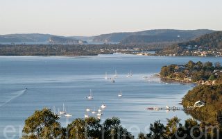 澳洲纽省中海岸房地产繁荣 36郊区创记录