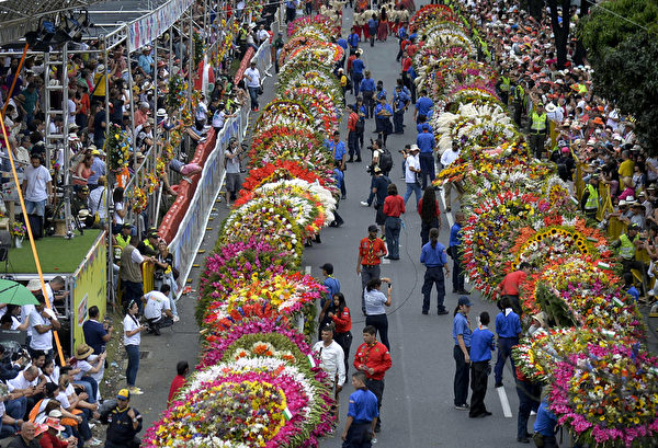 2015年8月9日，哥伦比亚鲜花节背花大游行，热闹非凡。（Raul ARBOLEDA/AFP）
