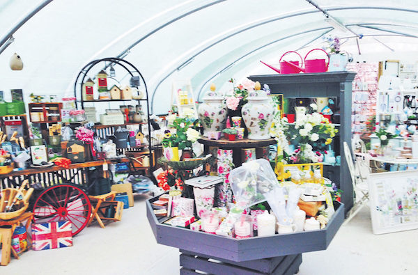 Medicine Park 裡別緻的小商店。( 攝影|大紀元) Medicine Park 裡別緻的小商店。( 攝影|大紀元)