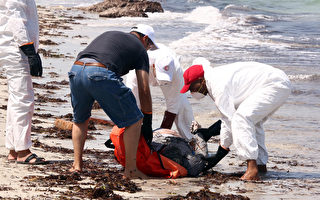 利比亚外移沉船 找到82具尸体