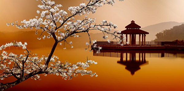 樓高對月賞中秋。(fotolia) 樓高對月賞中秋。(fotolia)
