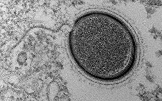科学家拟唤醒沉睡3万年的巨大病毒